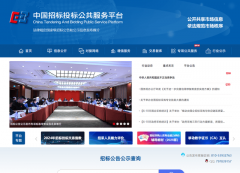 正在范畴笼盖、消息广度、手艺实力取办事深度