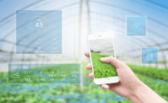 聪慧农业正从“样板间”“商